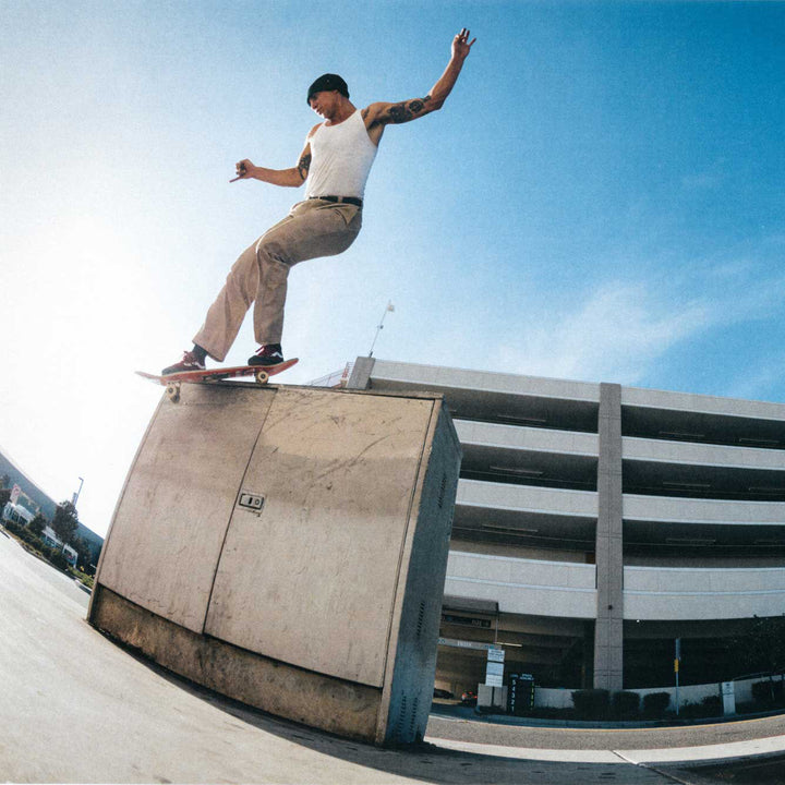 ELIJAH BERLE SIGNATURE VANS