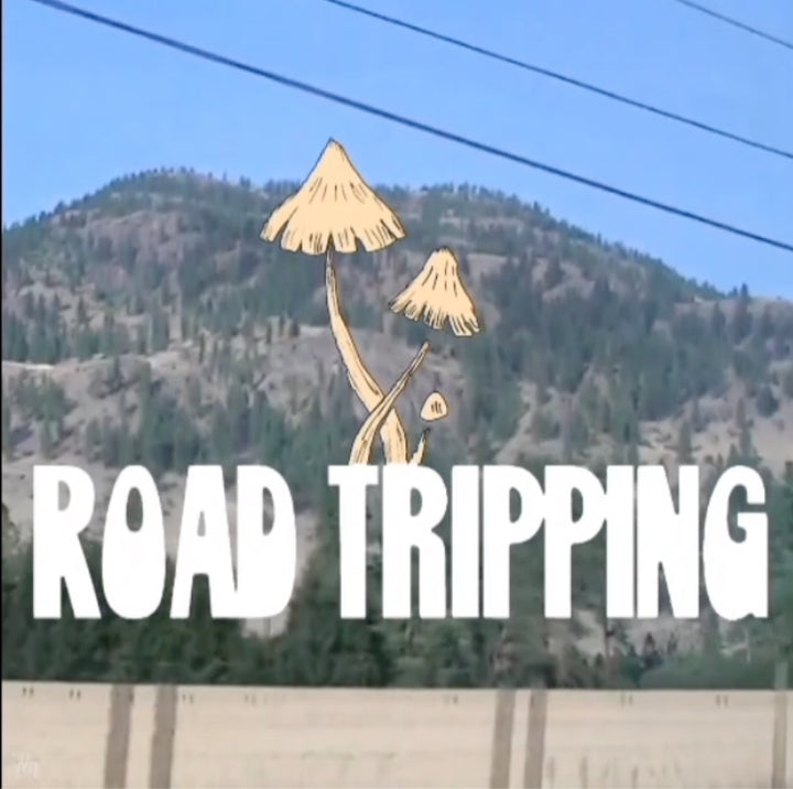 Road Tripping