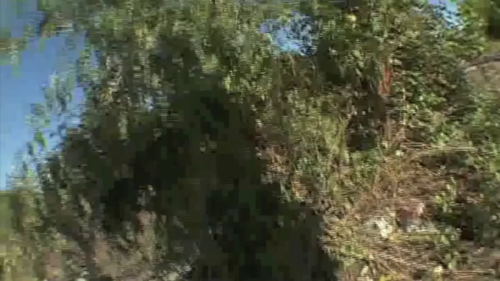 Dave Nolan Birthday video part