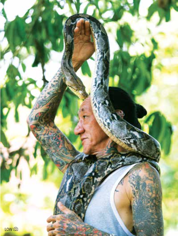 PET SNAKE