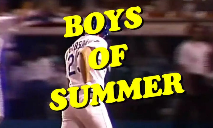 Boys of Summer Video