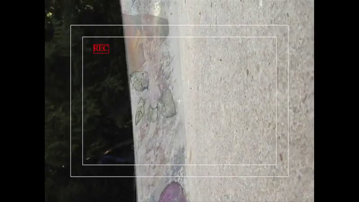 ZOMBIE SKATEPARK BLOODBATH