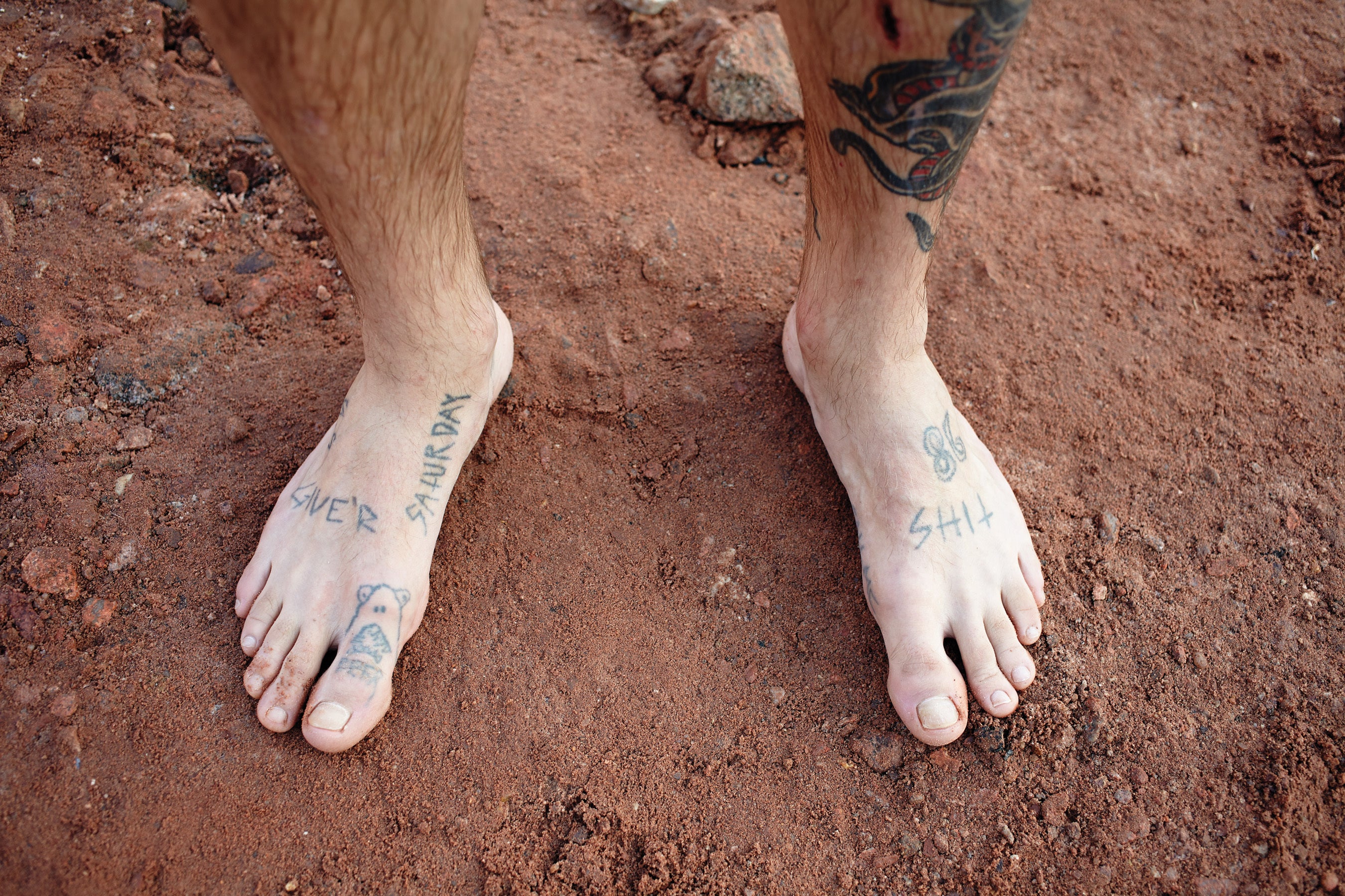 No Schedules, No Timelines – King Skateboard